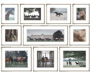 Сет из 10 Постеров Horse Collection in Colour