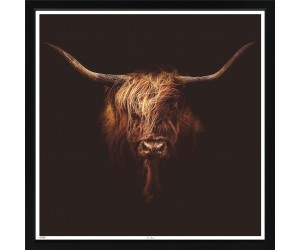 Постер в раме The Bull, Contemporary Black 621L