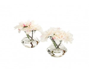 Цветы/2 DAHLIA, бело-розовые в стеклянной вазе
