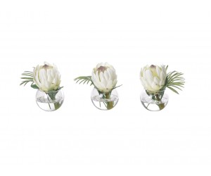 Цветы Protea белые, набор из 3 в круглой вазе из стекла