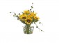 Цветы Sunflower желтые с эвкалиптом в стеклянной вазе