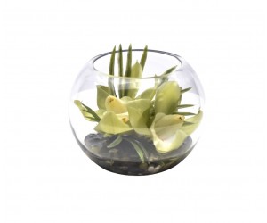 Цветок Orchid Cymbidium зеленый в стеклянном шаре