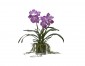 Цветок Orchid Vanda пурпурный с мхом, стекло