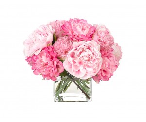 Цветы Peony Розовые в стеклянном кубе