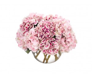 Цветы Hydrangea розовые в стеклянном шаре