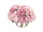 Цветы Hydrangea розовые в стеклянном шаре