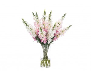 Цветы Snapdragon розово-кремовые в стеклянном цилиндре