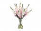 Цветы Snapdragon розово-кремовые в стеклянном цилиндре